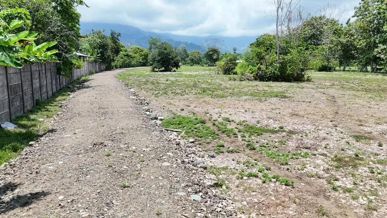 Jardín de la propiedad