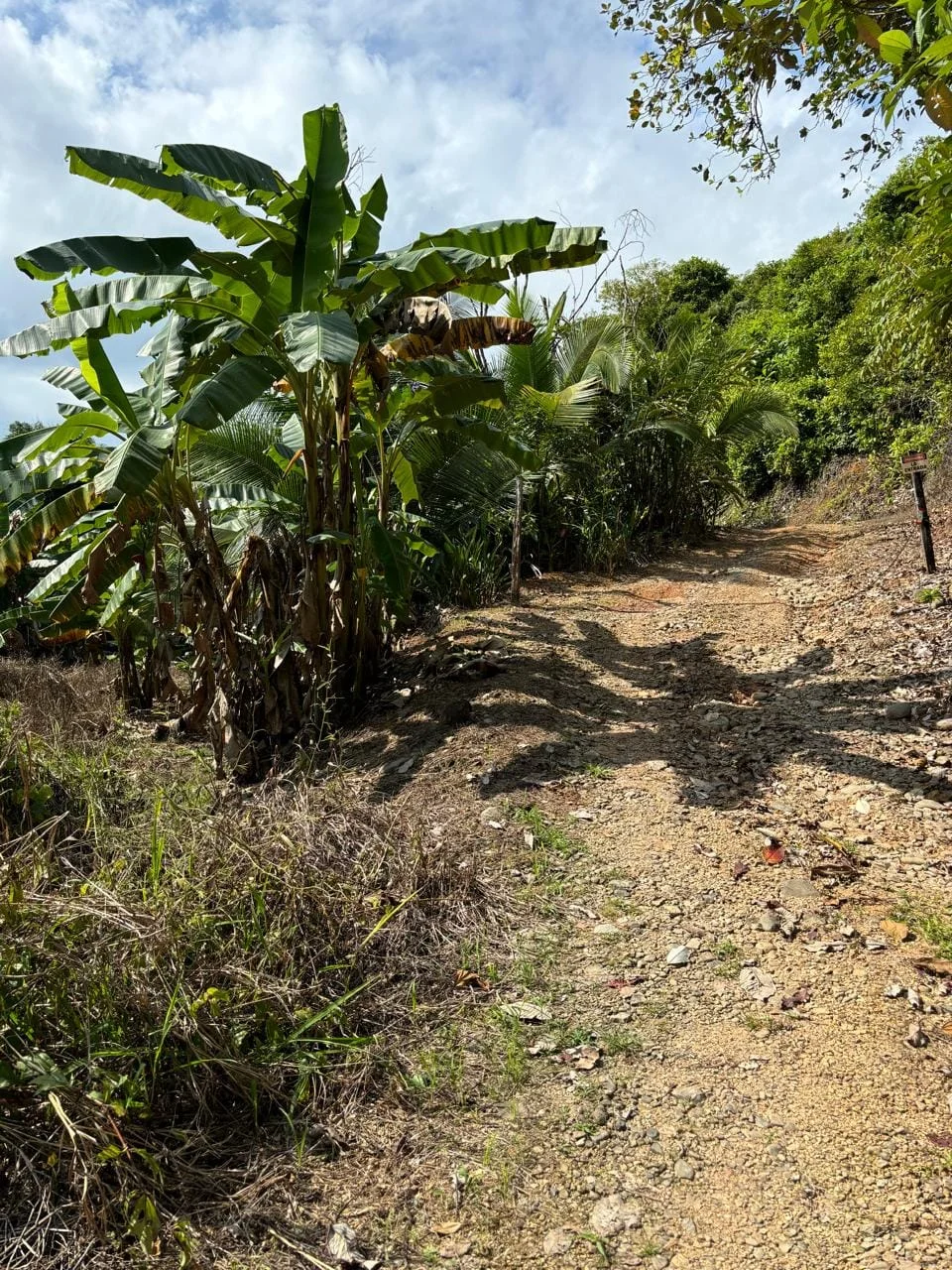 Jardín de la propiedad