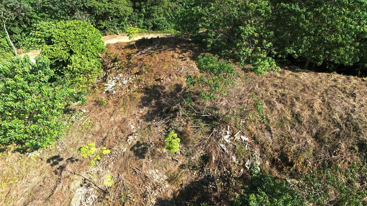 Jardín de la propiedad