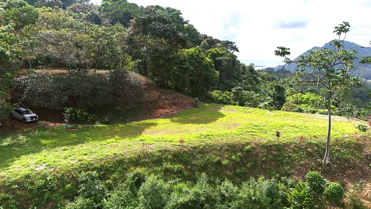Vista desde la terraza