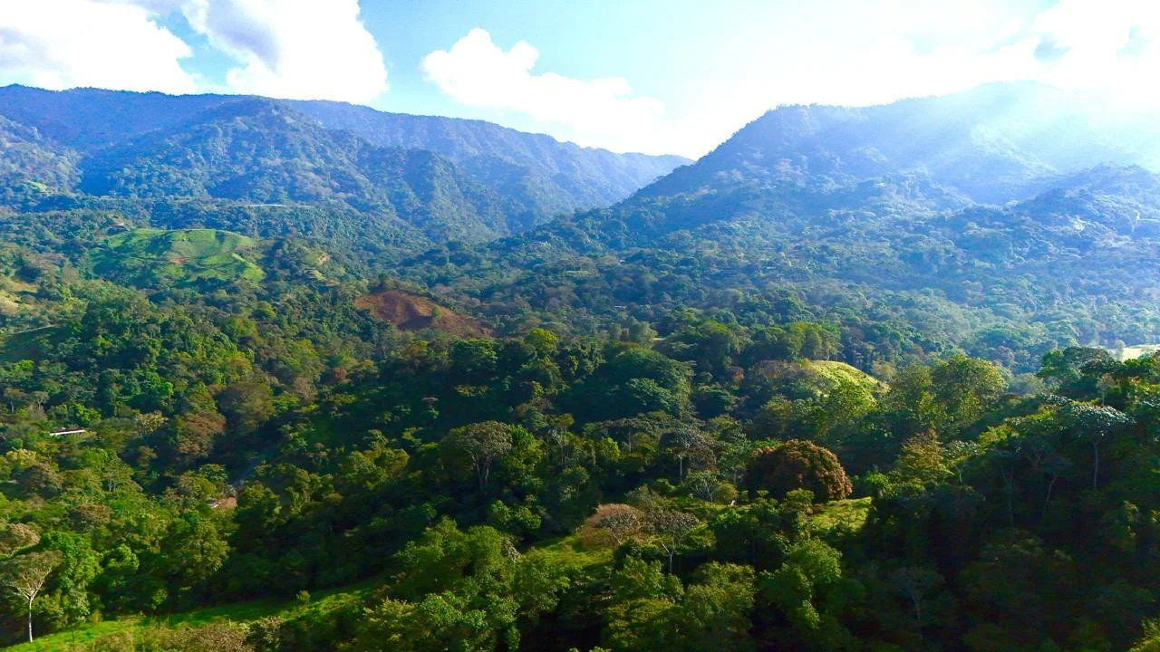Piscina de la propiedad