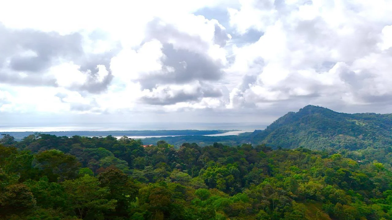 Piscina de la propiedad