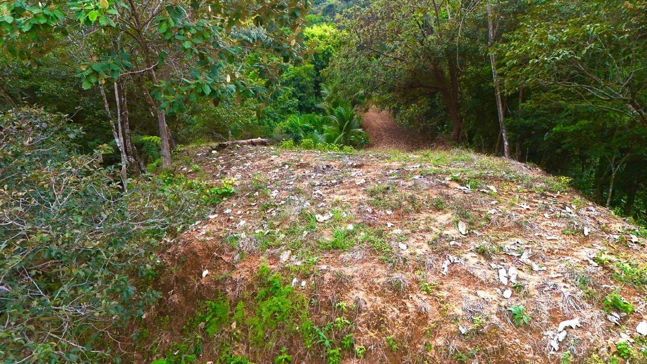 Piscina de la propiedad