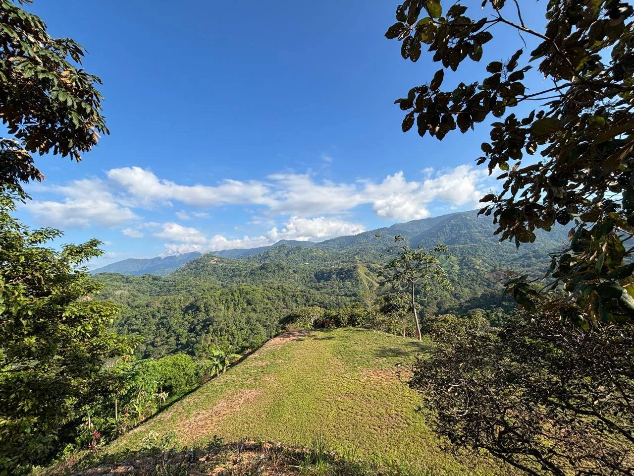 Piscina de la propiedad